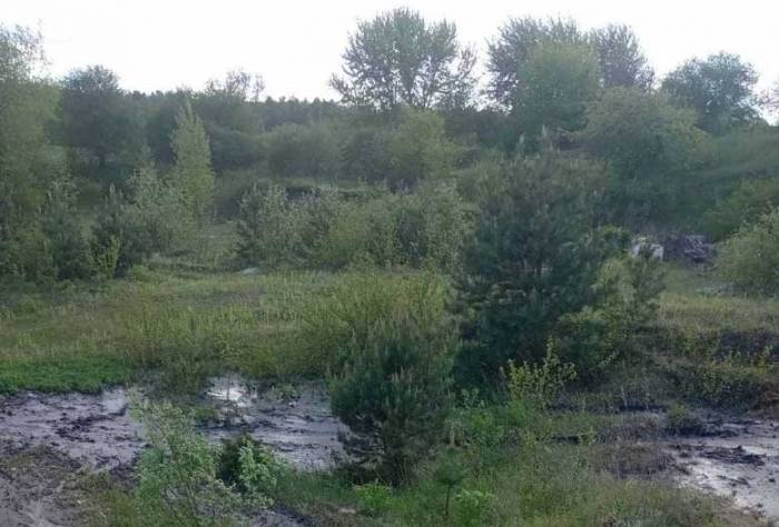 На Ковельщині виявили незаконний злив нечистот