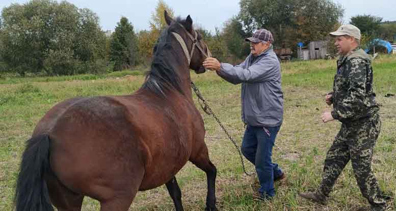 На Ковельщині через випадок сказу вакцинують тварин. Відео