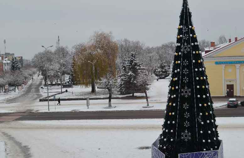 У Ковелі встановили нову головну ялинку громади