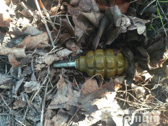 Жителя Ковельщини, який кинув гранату на подвір'я односельця, взяли під варту