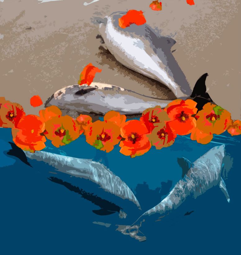 Дельфіни вмирають через отримані поранння та ехолокацію - Роман Гринкевич