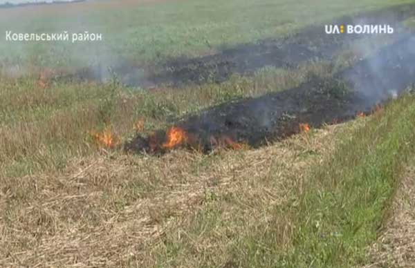 На Ковельщині пожежники ліквідували загорання сухої трави. Відео