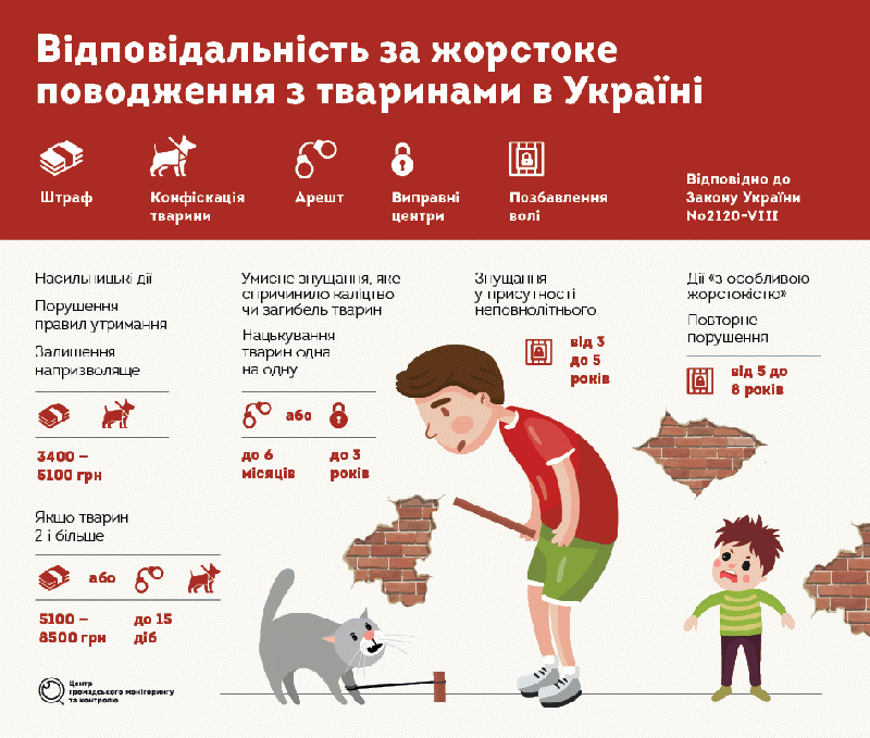 Ковельчанин може потрапити за ґрати за вбивство двох цуценят. Відео