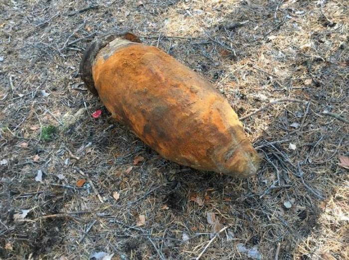 На Ковельщині сапери ДСНС знешкодили 100-кілограмову авіабомбу. Фото